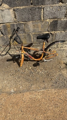 Raleigh speedway bike - bike, grifter